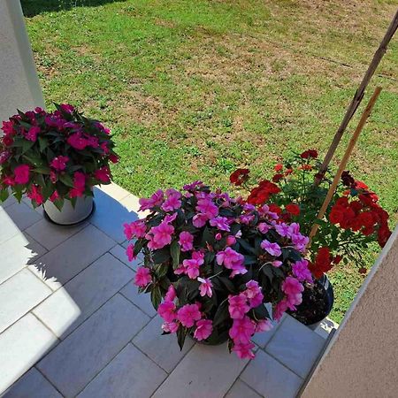 Apartmani Danica Vodnjan Dış mekan fotoğraf