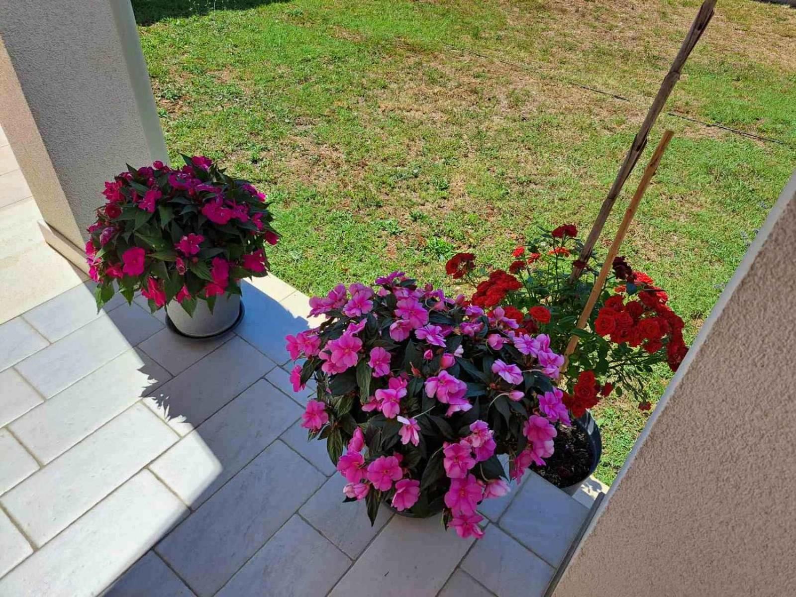 Apartmani Danica Vodnjan Dış mekan fotoğraf